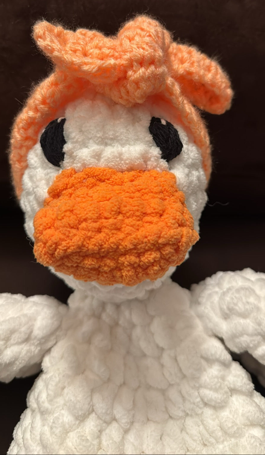 Sally the Duck Snuggler